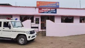 IMG_20250215_20250601