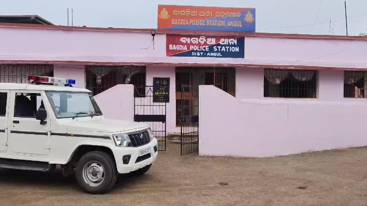 IMG_20250215_20250601